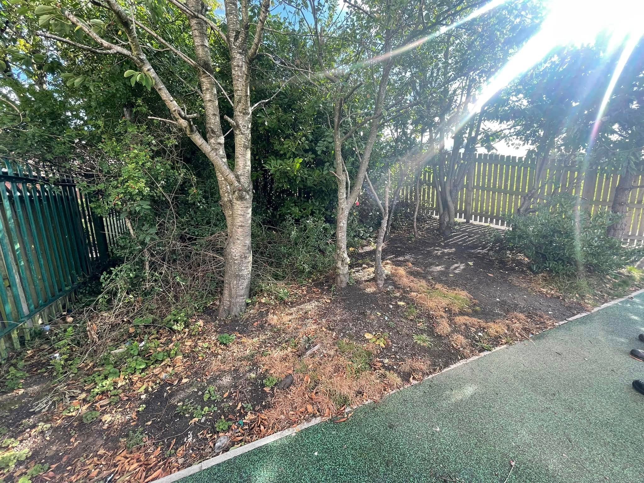 Cleared and mulched grounds left tidy by JG Groundcare