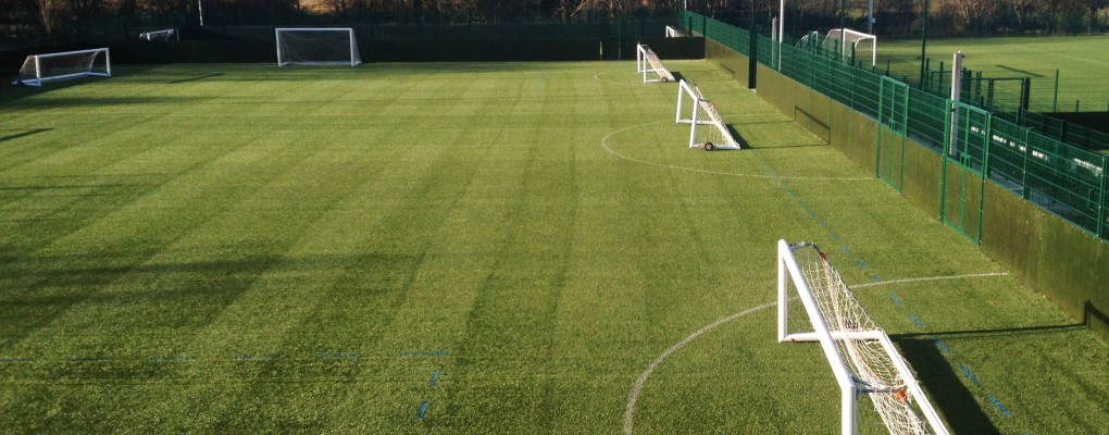 Just one of the many pitches we look after